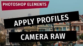 Photoshop Elements Apply Profiles in the Camera RAW Editor [upl. by Huberty]