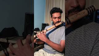 Dunukeiya Malak Wage  දුනුකෙයියා මලක් වගේ  Flute Instrumental  Flute  Sasrika Randimal [upl. by Ahsemaj]