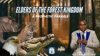 Elders of the Forest Kingdom  a prophetic parable [upl. by Mccurdy864]