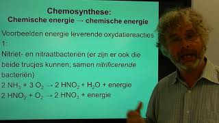 Biologie VWO BB Chemosynthese [upl. by Atelokin]