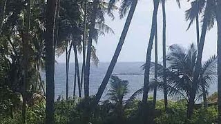 Commercial land for sale near Vizhinjam port  Rs 22 lakhs per cent [upl. by Eseela]