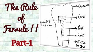 Ferrule Effect Understanding the Concept [upl. by Tilla]