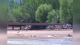 Bridge to nowhere along Flathead Lake removed [upl. by Ecnarwal]