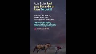 Story Whatsapp keren 2024 II Whatsapp Paling Terbaik islam hijrah palestine shortvideo fyp [upl. by Erialb]