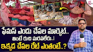 Sunday Special Fish Market in Tadepalligudem  West Godavari  Variety Dry Fish Available [upl. by Leggett]