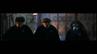 Harry Potter 1 Escena Editada4 [upl. by Eiaj]