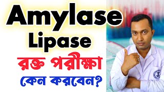 Amylase Lipase Blood test  Amylase Lipase পরীক্ষা কেন করবেন  Amylase Lipase normal range [upl. by Assiran600]