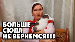 У МЕНЯ ШОК ❗ Впервые ЭТО увидела😱 scary storiesevil spirit 1 ноября 2022 [upl. by Lakym658]