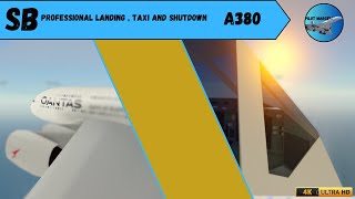 Professional landing  taxi and shutdown in an A380 I Saint Barthelemy I PTFS [upl. by Kramnhoj918]