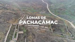 Lomas de Pachacámac 2018 [upl. by Caplan611]