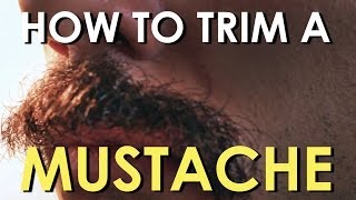 How to Trim Your Mustache  The Art of Manliness [upl. by Gaeta254]