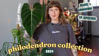 🌿 ranking ALL of my philodendron 🌿 19 species rare  common [upl. by Hyland960]