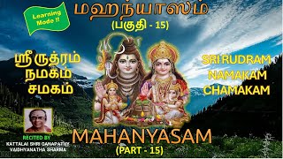 MAHANYASAM  PART  15  Rudram Chamakam Namakam  Learning Mode [upl. by Rica683]