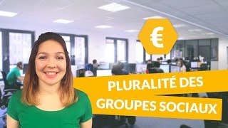 Pluralité des groupes sociaux  Economie  Première ES  digiSchool [upl. by Schlessel924]