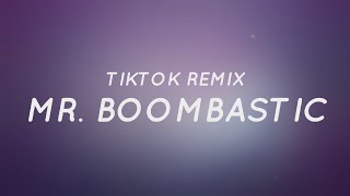 Mr Boombastic  Shaggy Lyrics  Tiktok Song [upl. by Denoting]