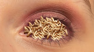 ASMR What inside eye  ASMR Eye Care Animation Maggots amp Worm Removal for Deep Relaxation treatment [upl. by Hgielra]