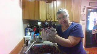 Part 1 of Pickling Beets [upl. by Car]