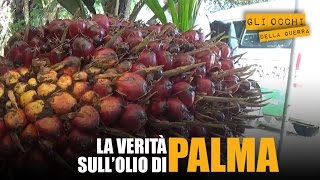 La verità sullolio di palma [upl. by Haimaj842]