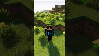 Can The Void Ever End In Minecraft shortsfeed viralshorts minecraft [upl. by Einallem355]