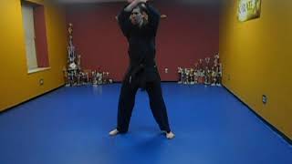 13 Kenpo Katas in 20 minutes [upl. by Anilegnave119]