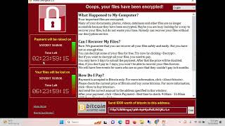 What was the WannaCry ransomware attack [upl. by Ferde]