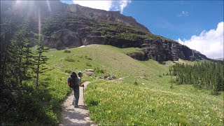 Grizzly Bears and Packrafting in Glacier National Park [upl. by Bloem]