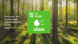 SDG 15 Protect Life on Land [upl. by Eerahs103]