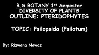 Psilopsida Psilotum by Rizwana Nawaz [upl. by Nivej]