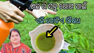 ଗଛ ର ସବୁ ରୋଗ ପାଇଁ ଏହି ଗୋଟିଏ ଔଷଧ Fungicide [upl. by Charie]