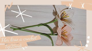 Lirios tejidos a crochet fáciles de hacer  Teji2Sindi ♡ [upl. by Einwahs]