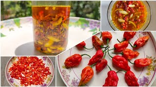 ভোট জলকীয়া আচাৰ GHOST CHILLI PICKLEBHUT JOLOKIA ACHAARAssamese Tasty pickle recipeBhoot jolokia [upl. by Ardiekal]