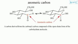 anomeric carbon [upl. by Nnaeel949]