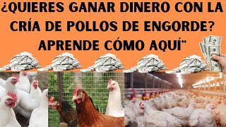 📢🤑Cómo Empezar Un Negocio De Pollos De Engorde 2024🤑📢 [upl. by Yelsna]