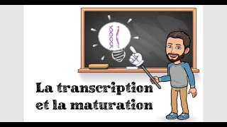 LA TRANSCRIPTION ET LA MATURATION DE LADN  2 1ère Spé SVT [upl. by Todhunter]