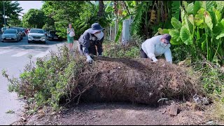 Neighbors were upset when we cleaned up the spontaneous garbage they dumped on the sidewalk [upl. by Asit]