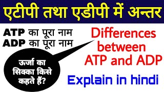 एटीपी तथा एडीपी में अन्तर  Differences between ATP and ADP  biology science sk [upl. by Salamone]