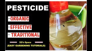 HOW to make Organic PESTICIDE at home POWERFUL MULTIPURPOSE EASY [upl. by Ramsay]