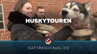 HuskyTouren durch die Natur als besonderes Erlebnis [upl. by Sorenson]