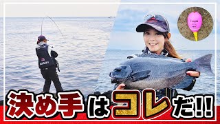 【グレ・チヌ】潮に合わせた仕掛けにチェンジで本命ゲット！【SHIMANO・KIZAKURA・マルキュー】 [upl. by Barnie470]