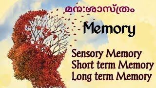 Memory Types of MemoryStage Model of Memory Richard AtkinsonShiffrinIGNOU Psychology [upl. by Gettings]