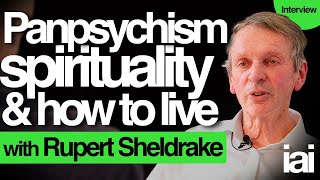 Panpsychism spirituality and consciousness  Rupert Sheldrake [upl. by Mamoun645]