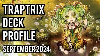 2ND PLACE Traptrix Deck Profile SEPT 2024 [upl. by Rozanna]