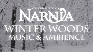 Chronicles of Narnia  Winter Woods Music amp Ambience  Relaxing Music with Sounds of Winter [upl. by Nimocks147]