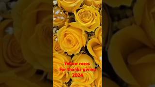 Yellow roses for thanks giving 2024 [upl. by Llerdna295]