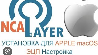 NCalayer установка видео қалай [upl. by Malina804]