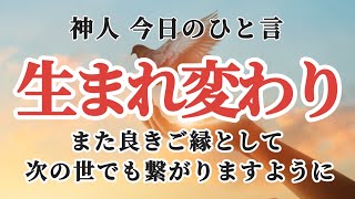 【神人今日のひと言】〜生まれ変わり〜死後の関係〜愛〜あなたを幸せにする言葉〜 [upl. by Levana]