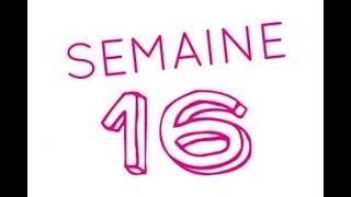 16éme semaine de grossesse  18ème semaine d’aménorrhée [upl. by Clerissa394]