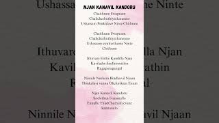 Njan Kanavil Kandoru 🙌 lyrics malayalam dileep [upl. by Virginia297]