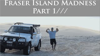 Fraser Island Camping and Exploring Dingos Snakes Turtles n Fish [upl. by Tollmann]