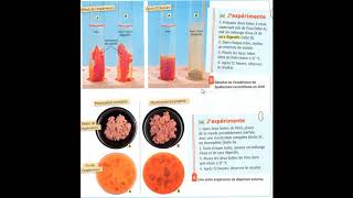 SVT  5e  Chapitre 8  Activité 2 et 3  Action chimique de la digestion [upl. by Nageek867]